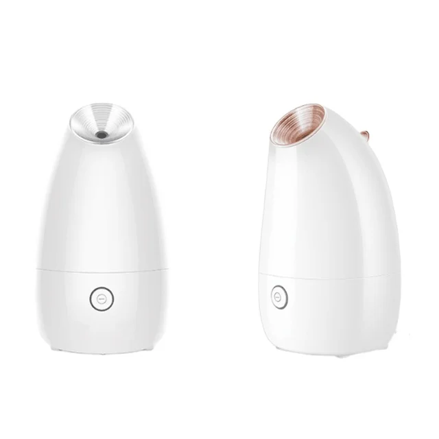 Facial Steamer
