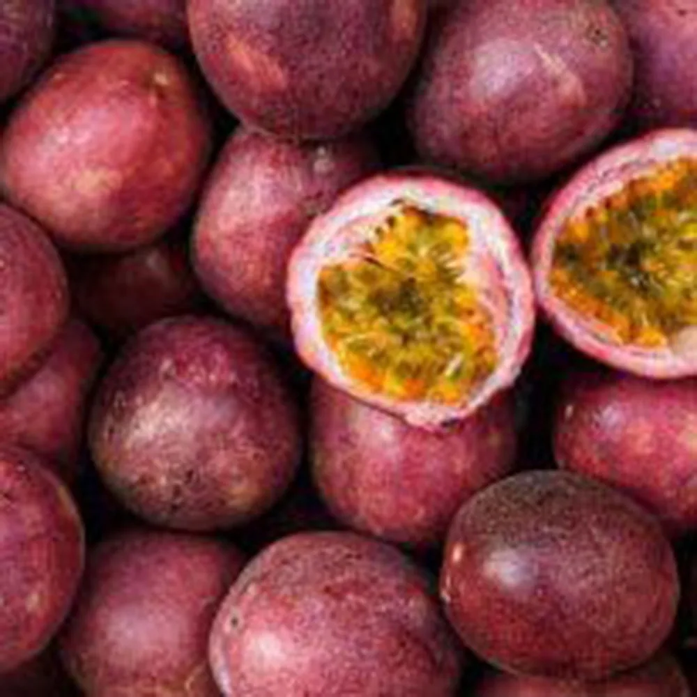 Passion Organic Frozen Golden Passion Fruit from Vietnam - Export wholesale High Quality (Certification: GAP, HACCP...)