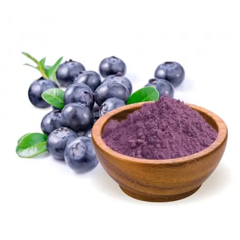 bilberry extract powder 25% 36%