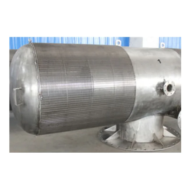 Large Size seawater desalination filter wedge wire water filter Passive Intake Screens