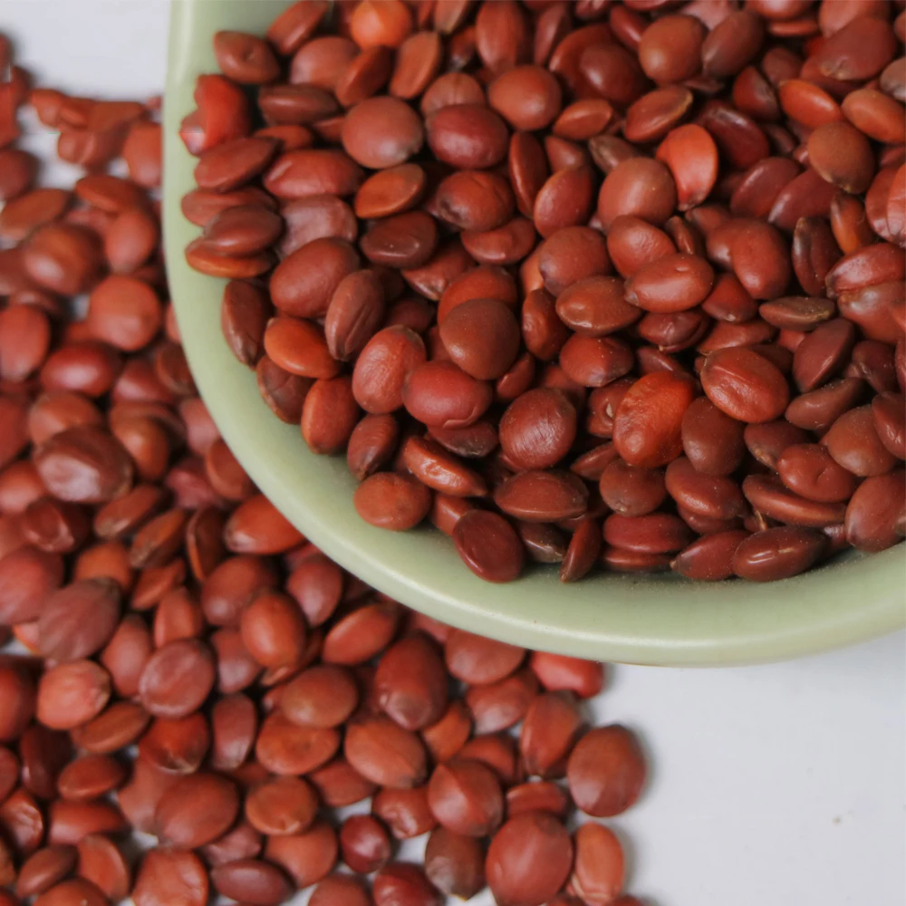 Natural Spine Date Seed Wholesale Original Fruit Tea Spine Date Seeds