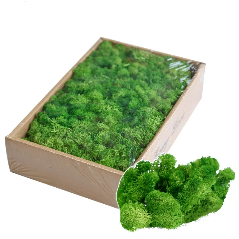 Natural Eco-friendly Bulk Eternal Panel Preserved Lichen Green Decor Moss Wall Wedding Sheet Reindeer Preserved Moss Stabilized