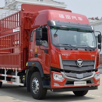 Foton из арабских эмиратов BJ3253 BJ4259 EST-M грузовика запасных частей