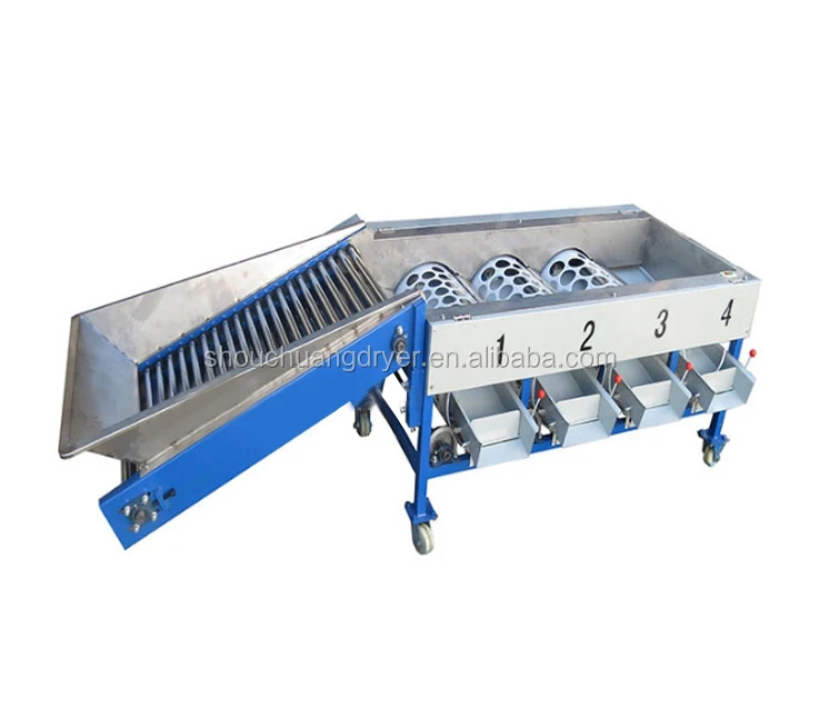 Shouchuang ODM Factory Price Spice Nut Vegetable Sorting Garlic Chili Walnut Potato Grading Machine Sorting Machine