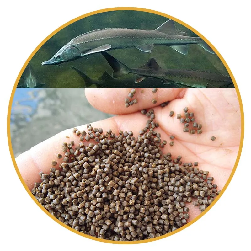 Wholesale best price salmon fish feed fish farm feed
