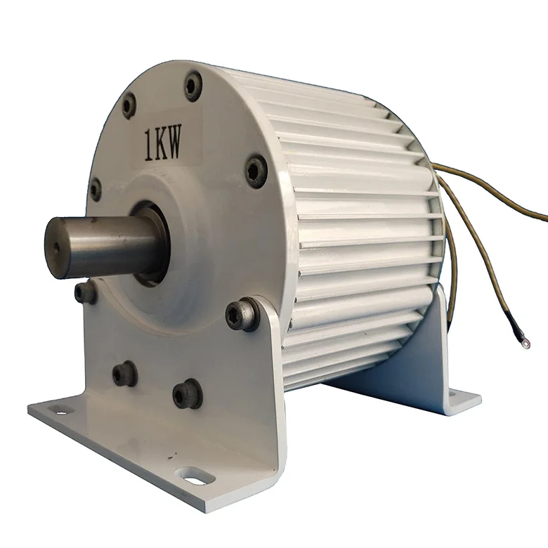 100w 200w 500w 1000w 1500w 2000w 12V 24v 48v free energy generator permanent magnet PMG alternator coreless maglev DIY generator