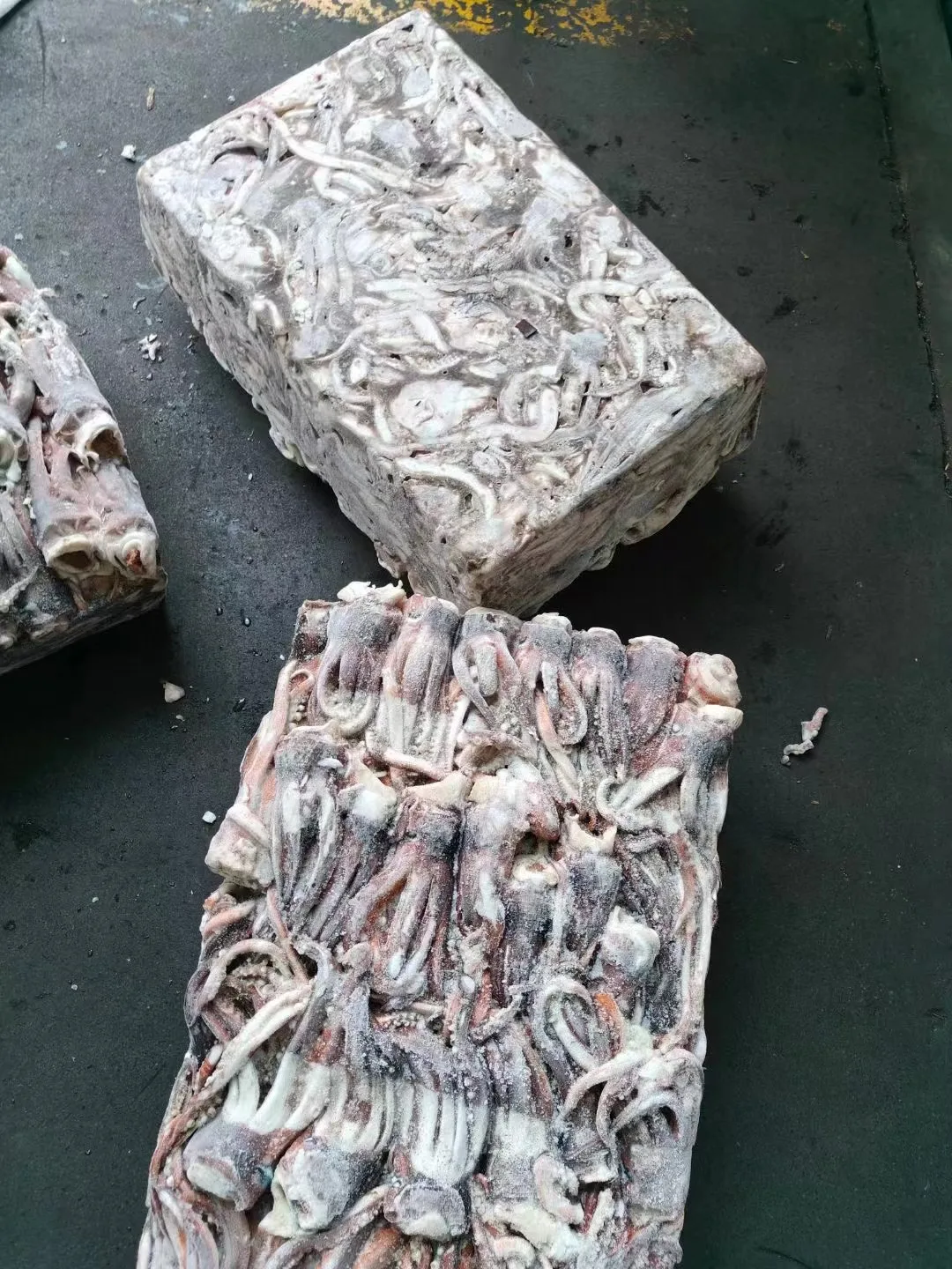 Raw Meat New Processing Calamari Tentacles Material Argentina Frozen Illex Squid Head