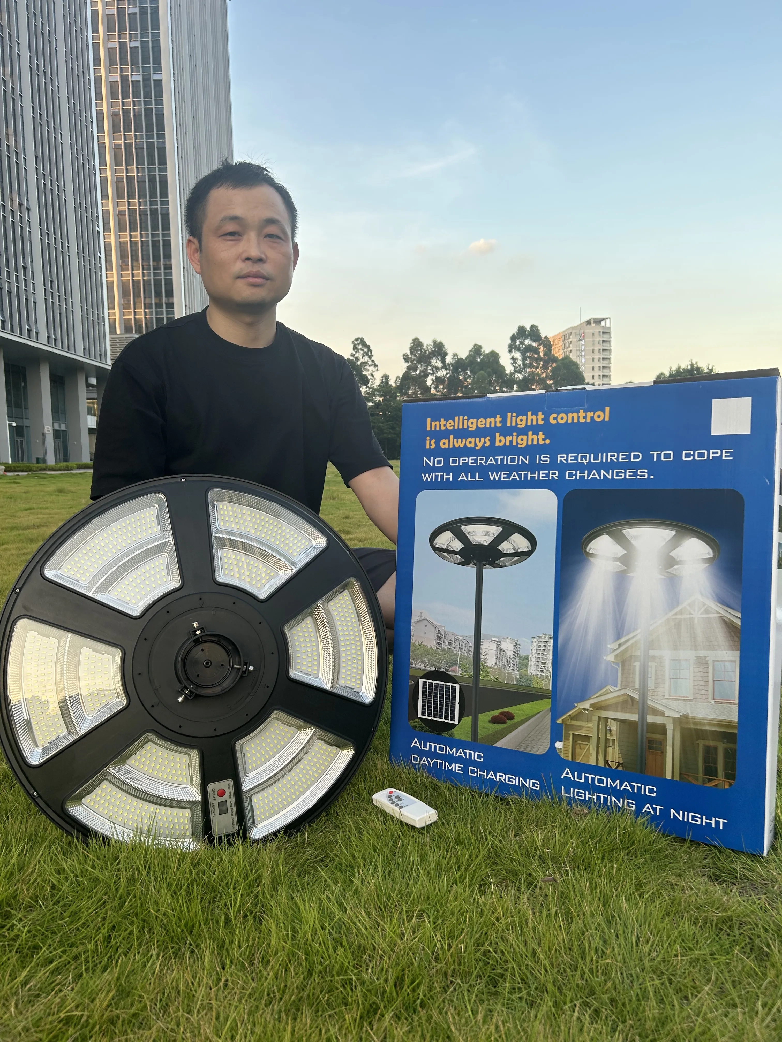 20W Solar LED Garden Light SMD Chip RGB Color Temperature Waterproof IP65 Outdoor Landscape Roads DC Power Supply Motion Sensor