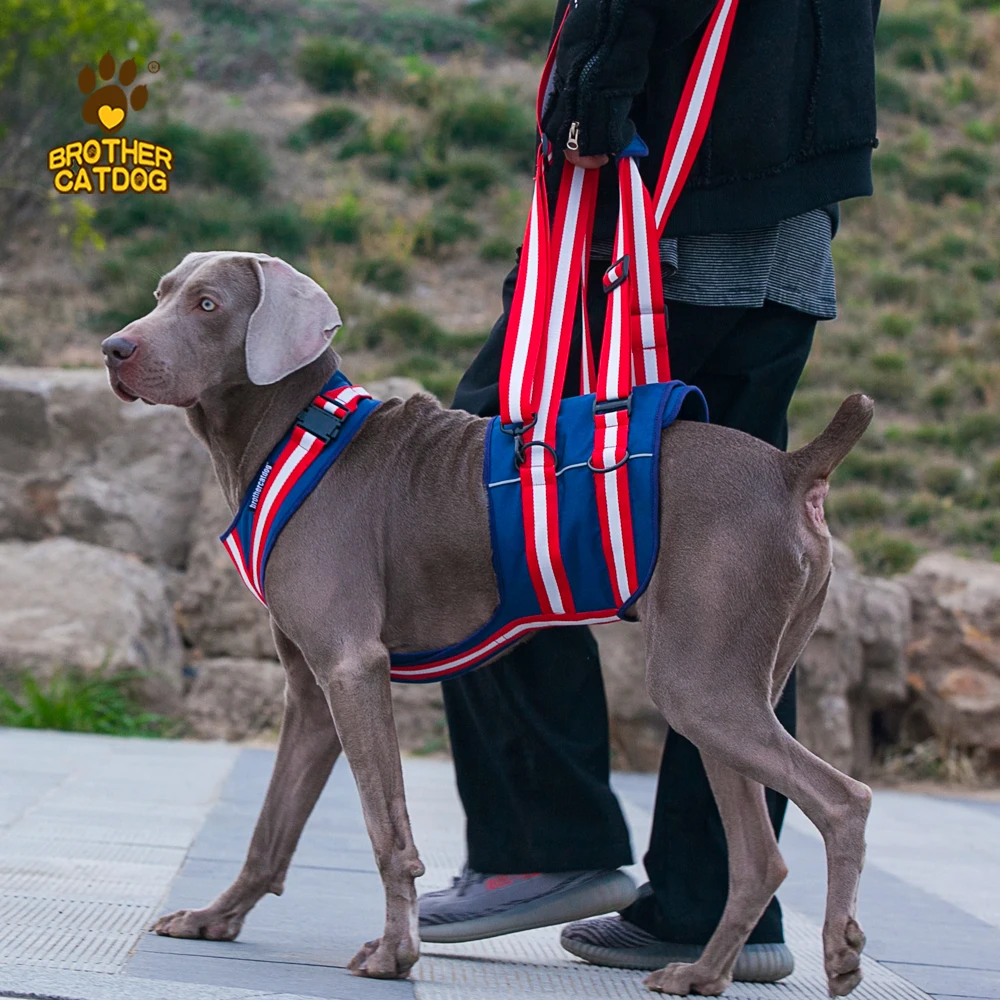 Pet product accessories   old,disabled, injuried dog sling harness recovery auxiliary belt