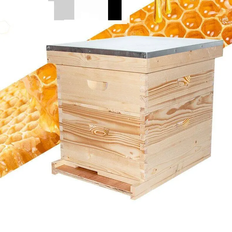 Automatic Self-flowing Bee Hive Apiculture Beekeeping Beehive