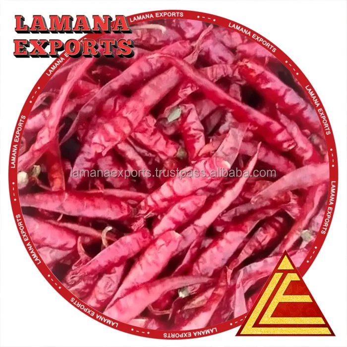 Chilli S17 Teja Stemless India Chilli Premium Quality for Thailand Guntur Hot Dried Red Chili Pepper Single Herbs & Spices Raw