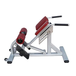 Bolikang High-quality fitness equipment Roman Chair Reverse hyper extension Lower Back Exercise Benches 45 Degree Back Extension