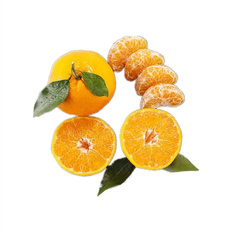 2021 Chinese Chunjian orange  Mandarin fruit Ugly Fresh orange wholesale price
