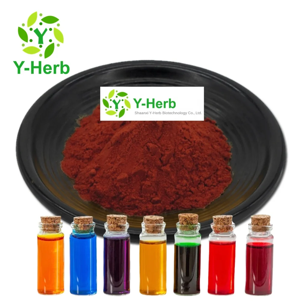 Factory Price Natural Grape Peel Red Color Food Grade Pigment Food Coloring Vitis Vinifera/Grape Skin Red Pigment
