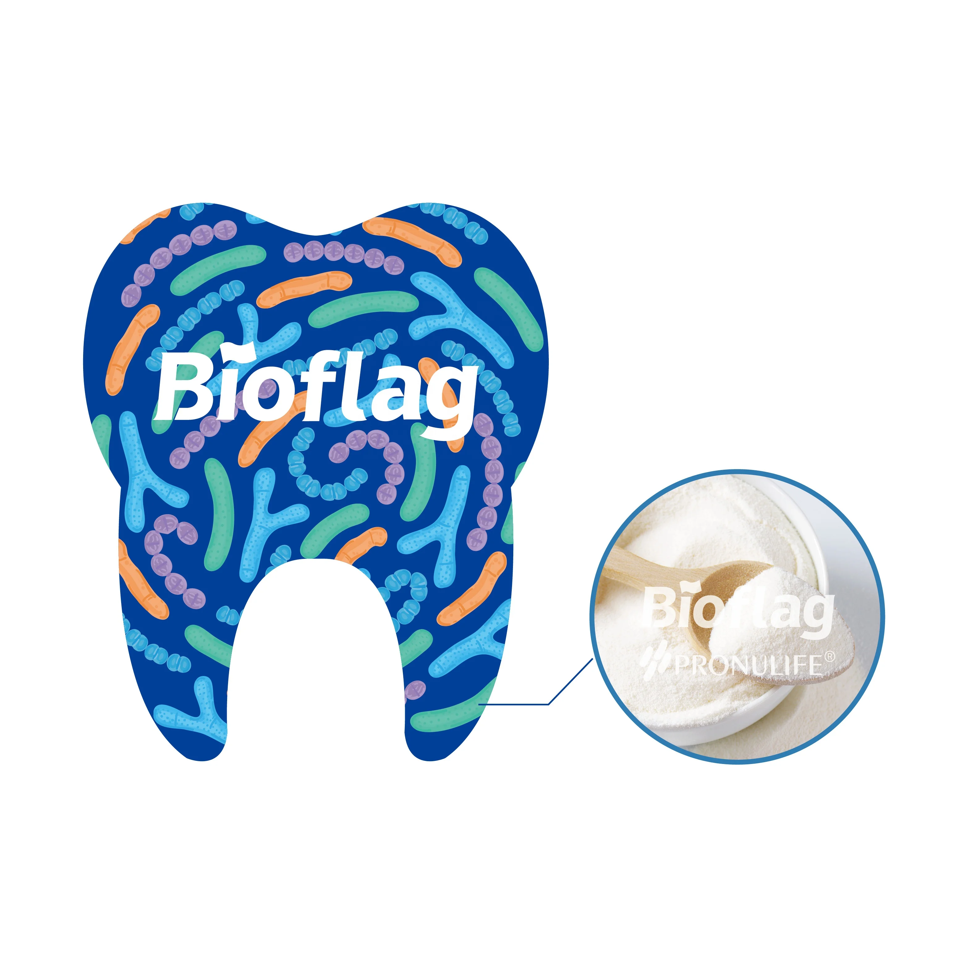 Clinically proven high quality hot sale low cost Oral Care Probiotics