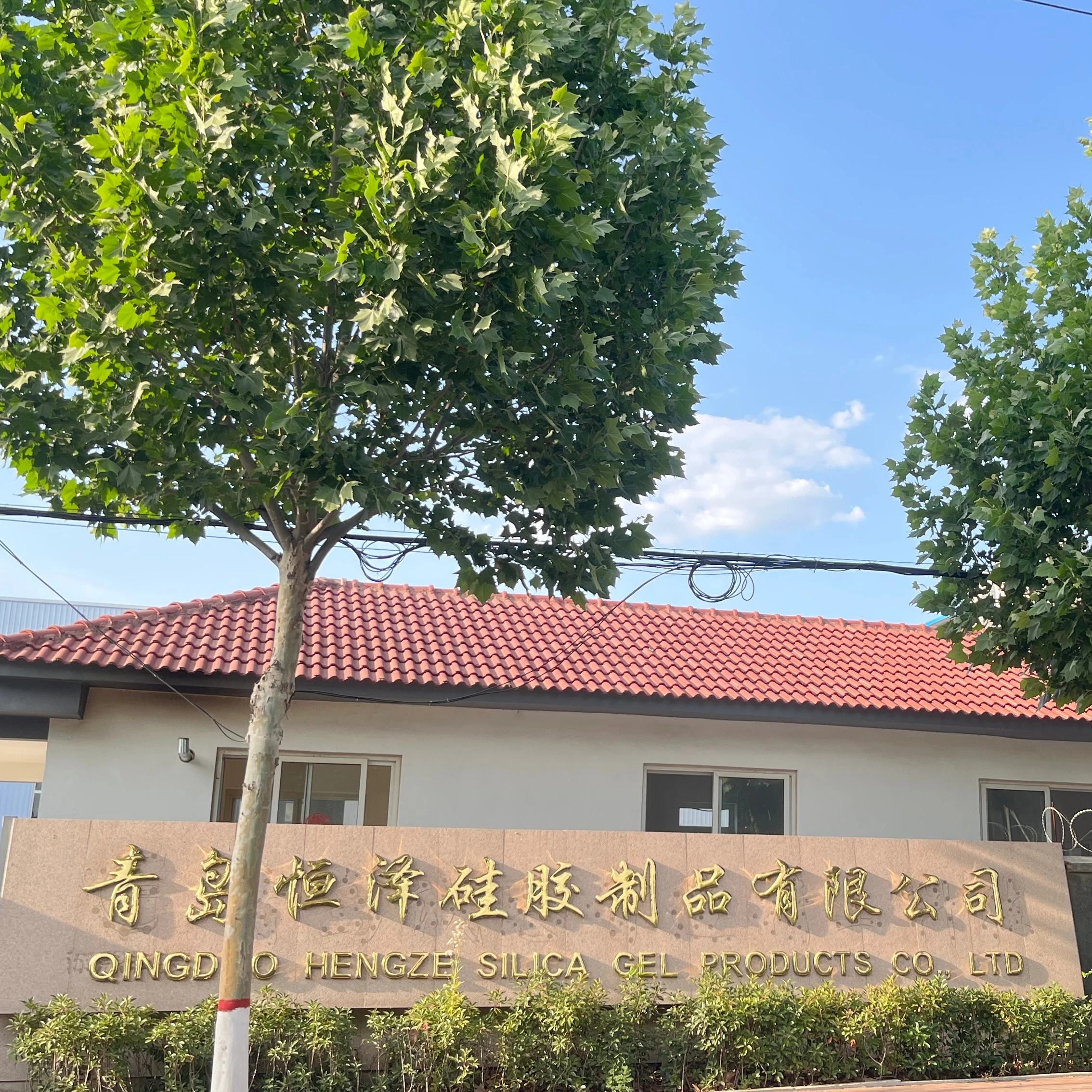 Chemical Auxiliary Agent Classification White granules Chemical Absorbent Silica Gel  for Purification and Seperation