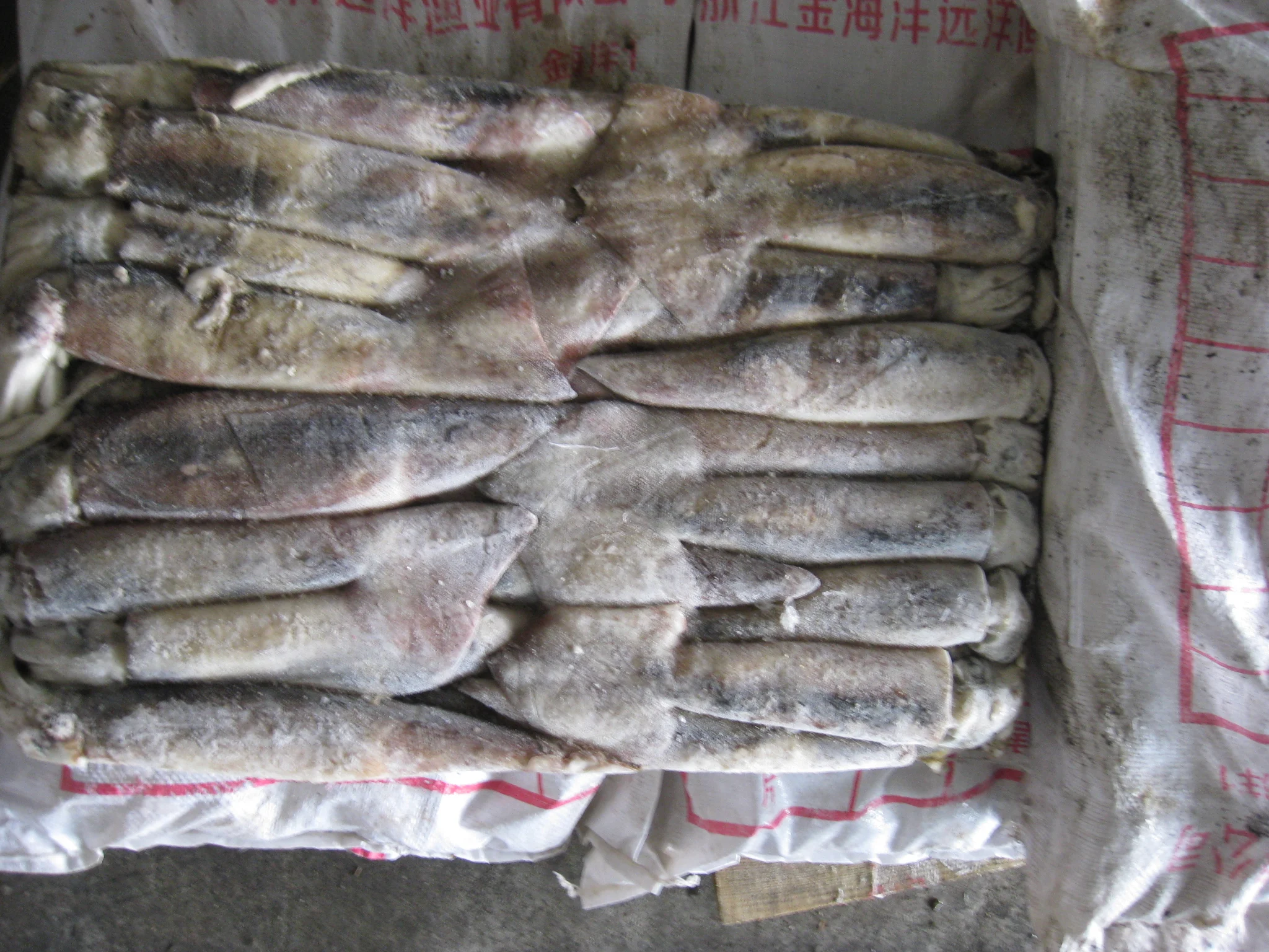 Factory hot sale product high quality healthy seafood fresh calamari frozen squid