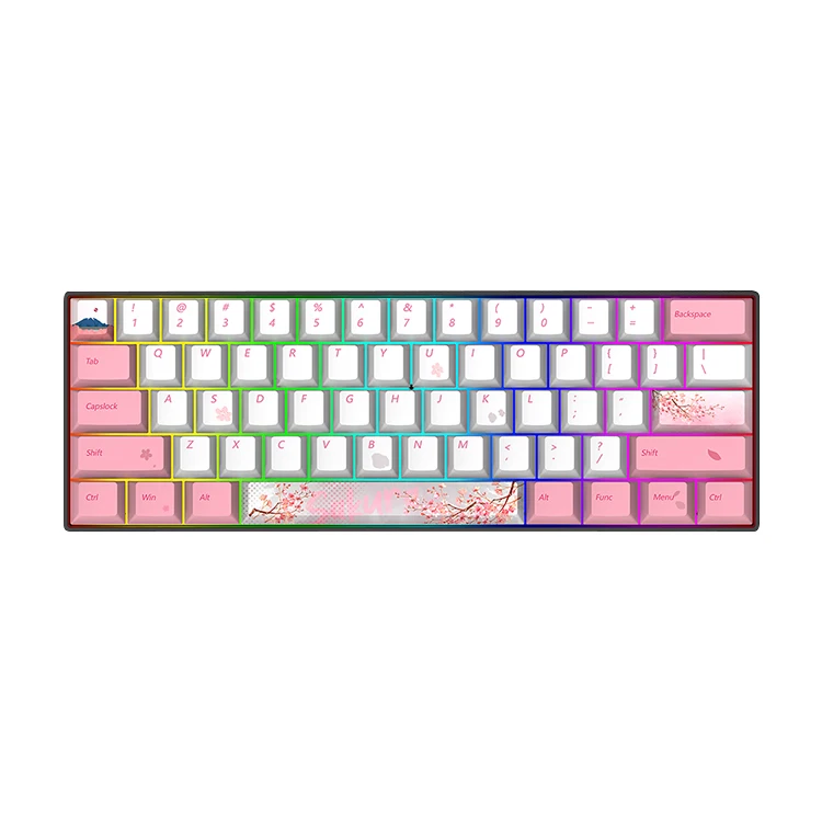 Custom OEM High Quality Shaft Curved Surfaces Design 61 Key Computer Gaming Mechanical Keyboard