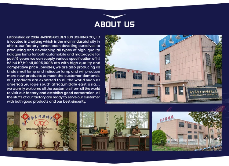 12v 30w Bulb Halogen Popular in Medical Analysis Instrument Medical Profession Halogen Lamp Bulb