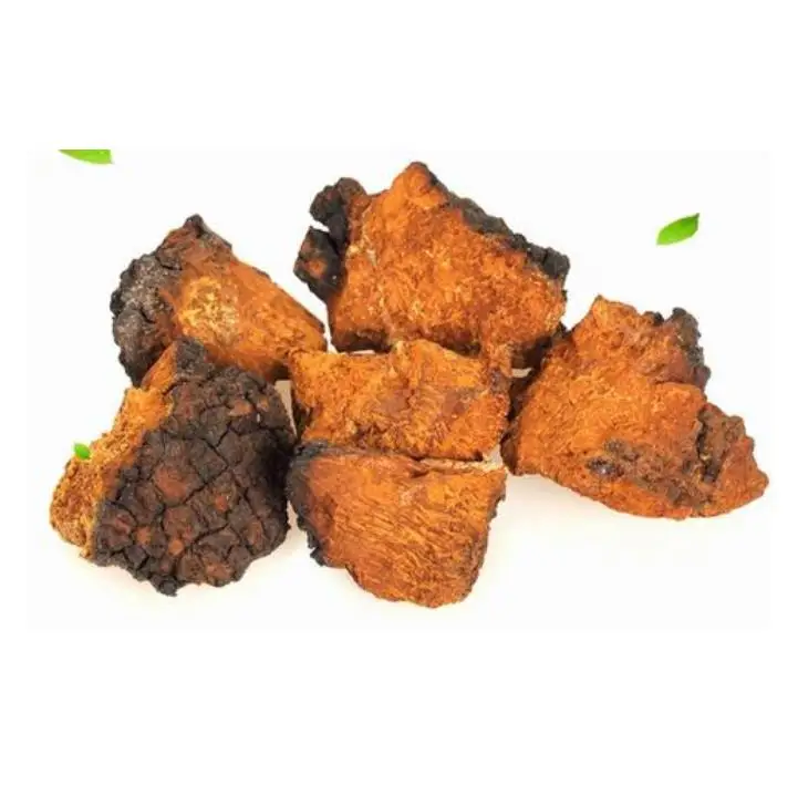 Высокое качество новинка оптовая продажа натуральный русский chaga гриб Inonotus obliquus