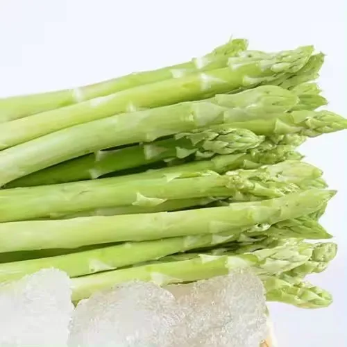 Wholesale Good Quality Frozen Green Asparagus Fresh Vegetables