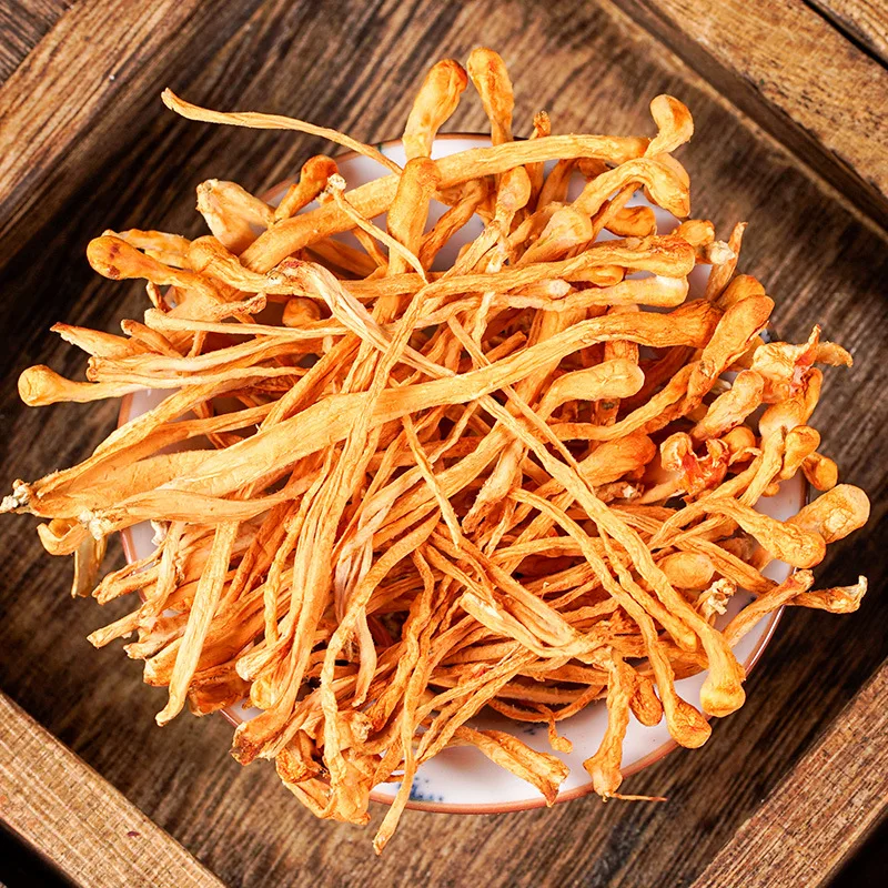 High quality cordyceps mushroom dry wholesale price