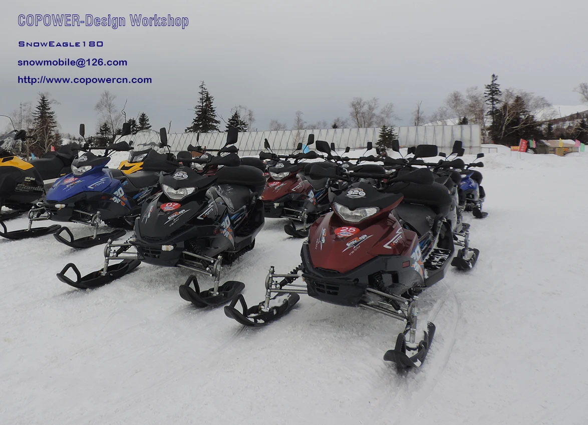 New 320CC electric snowmobile (Direct factory)