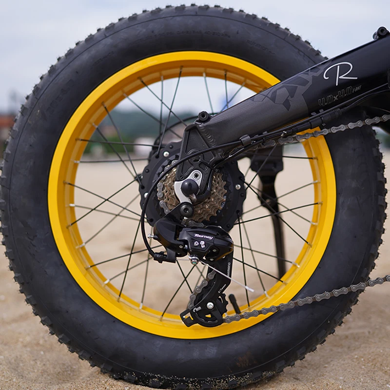 750W 1000W high power electric bicycle 20*4.0 fat tire electric bike/ebike/beach snow bike/electric folding bike