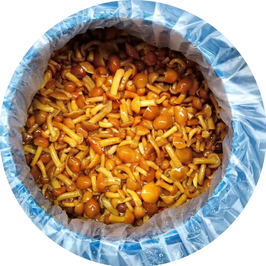 
Preserved nameko in brine in drums 