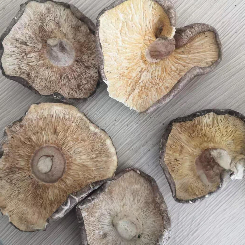 
whole sale shiitake mushrooms dried mushroom cheapest the least expensive 