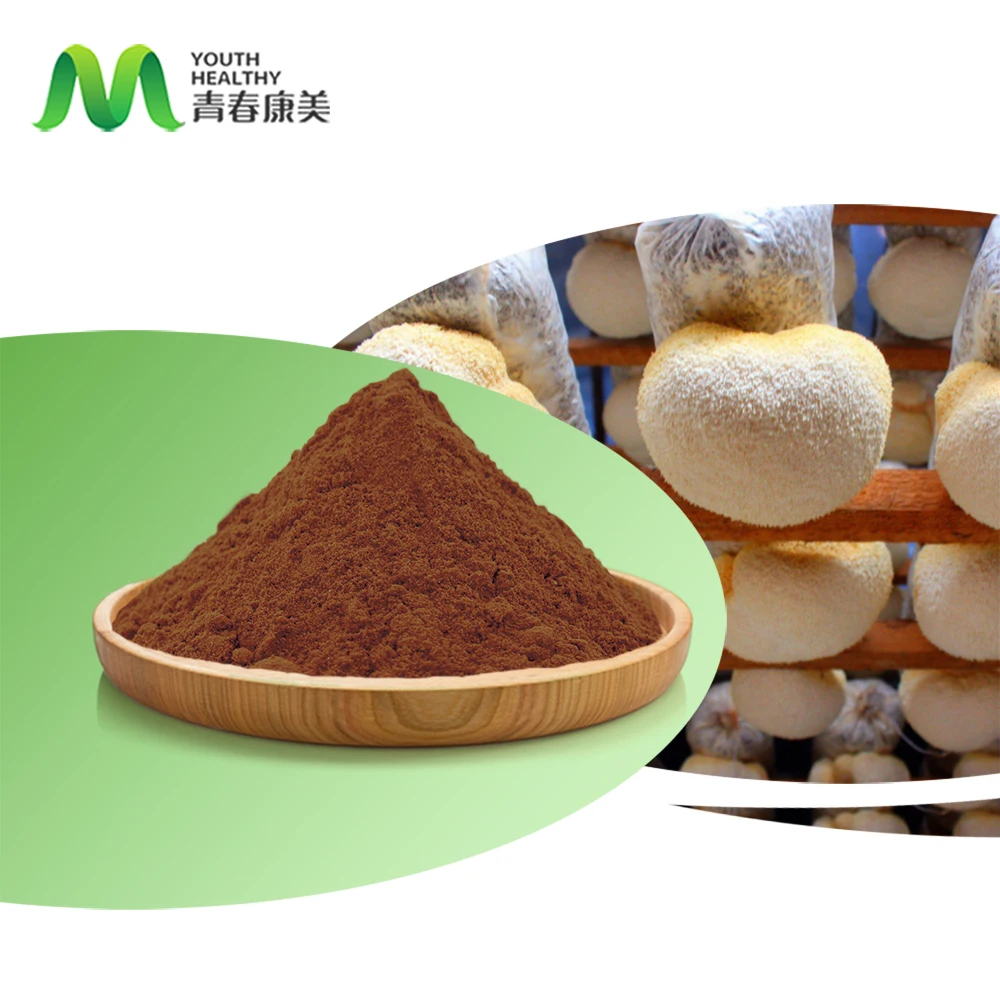 High Quality Organic Hericium Erinaceus Extract Powder