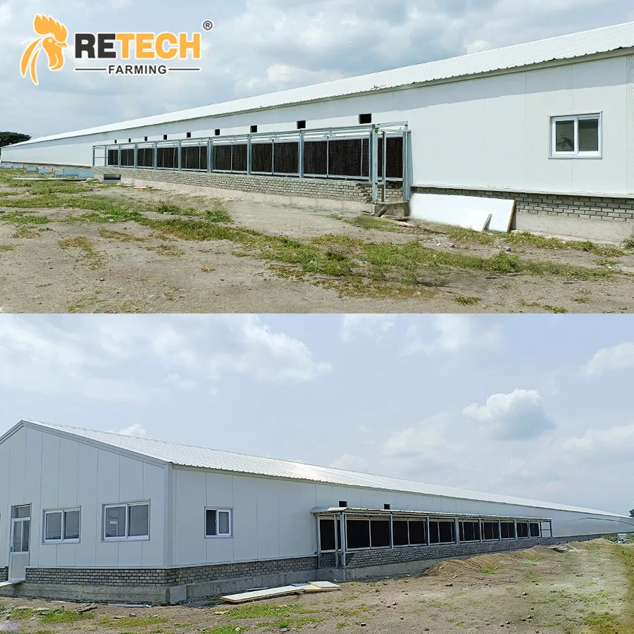 New Design Automatic H Type Broiler Poultry Equipment Chicken House with Environment Control System