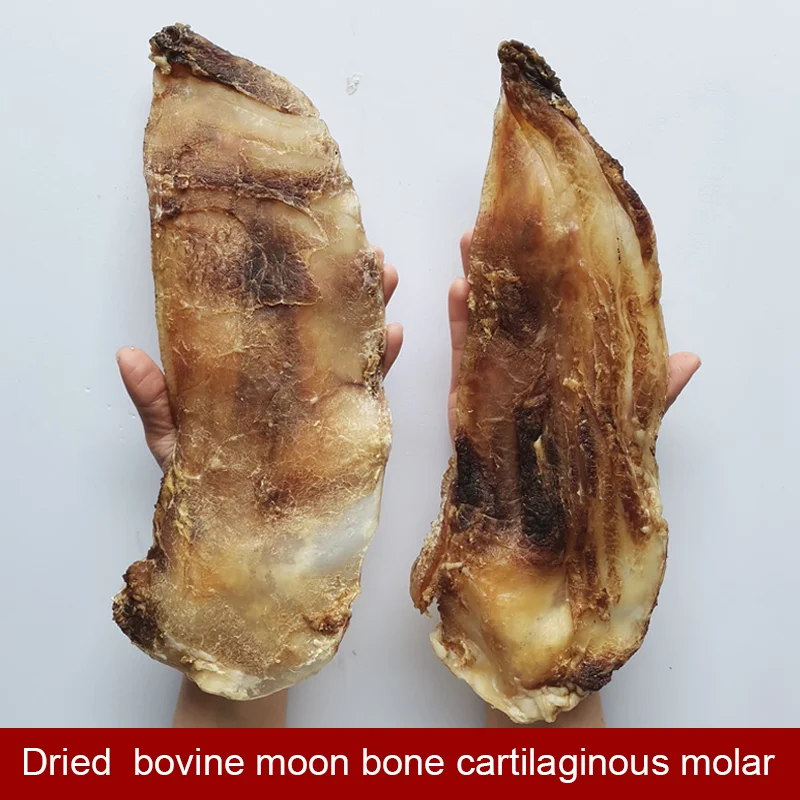Air-Dried bovine moon bone Molar Rods Pet Bite Resistant Clean Tooth Bones Dog Snacks Cattle Bone