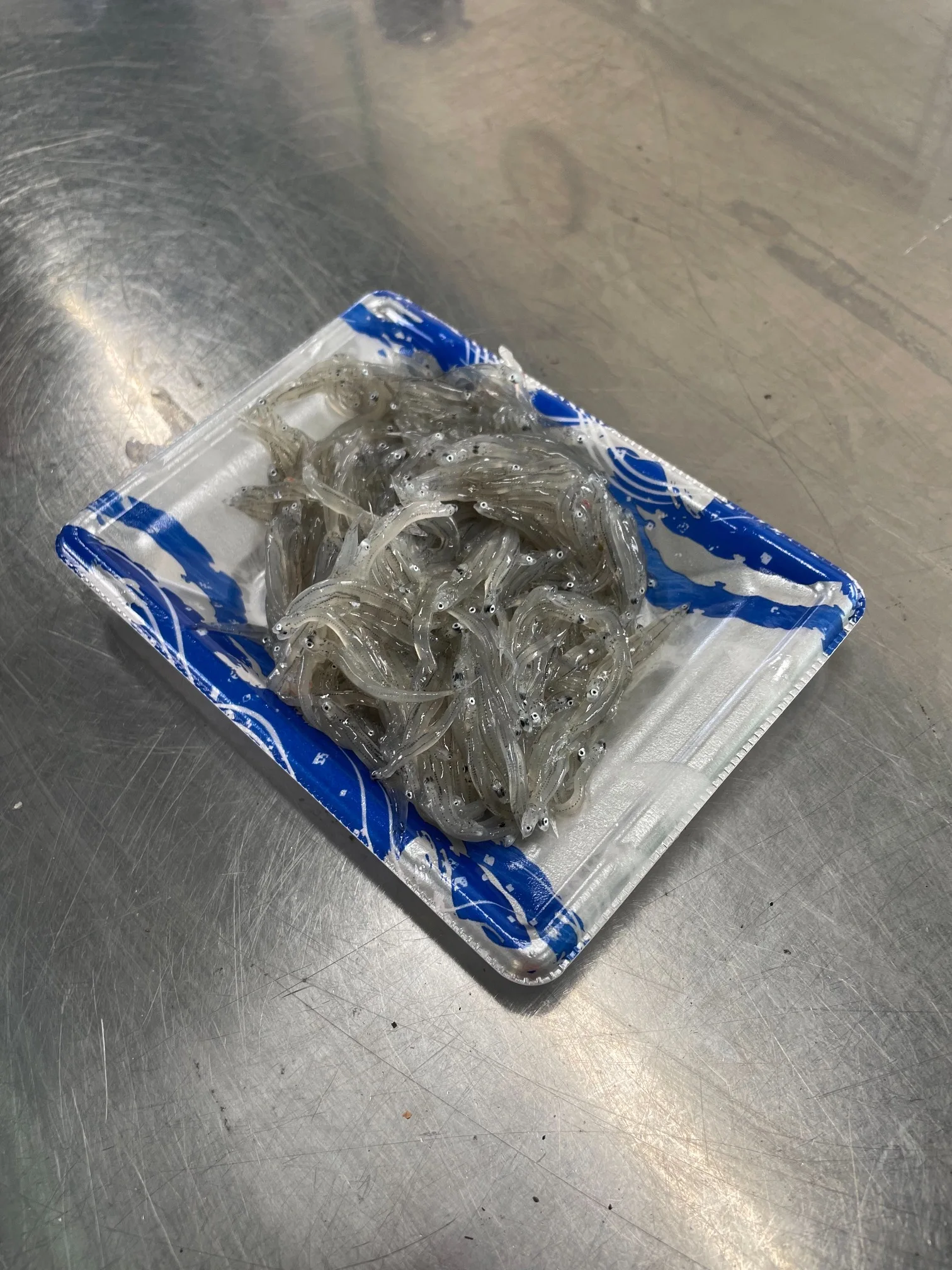 Japanese shirasu whitebait delicious pick meat cryogenic seafood