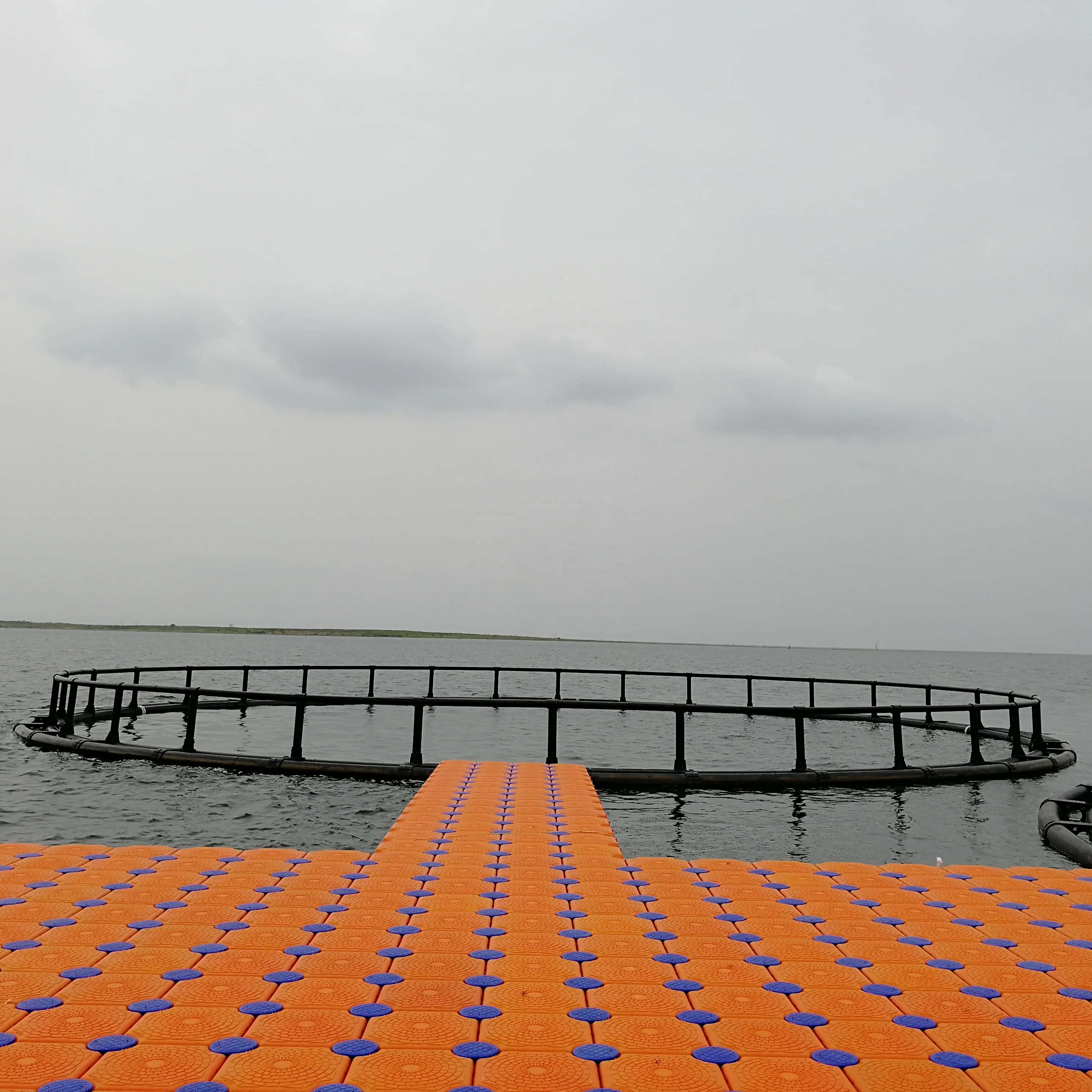 Round Cage in Deep Sea for Salmon Fish Farm