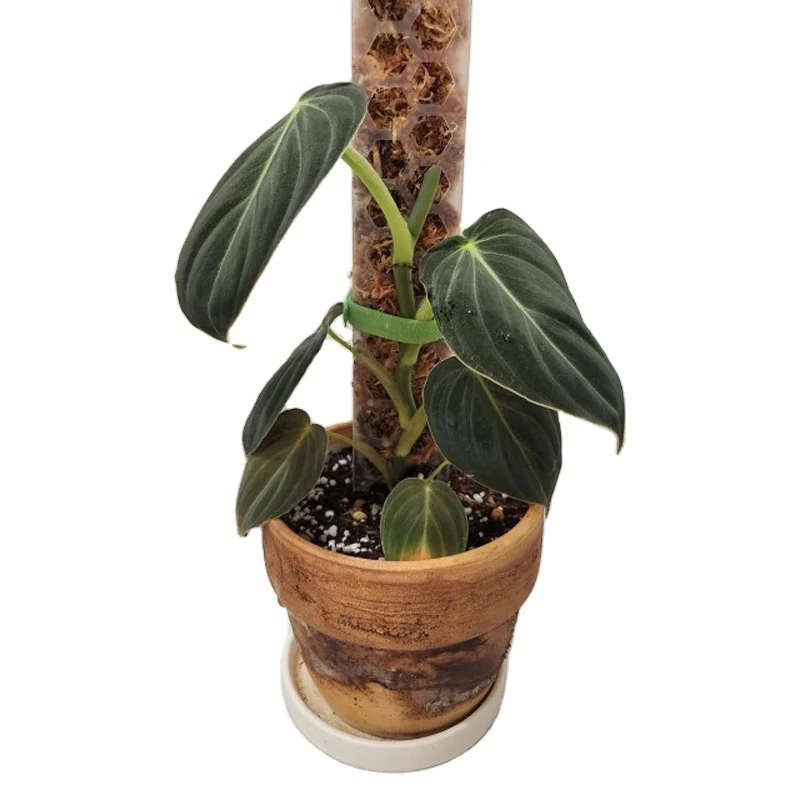 New Idea 2022 Plastic moss poles honeycomb Plant climbing Fixed support Moss column Bracket rods coconut Sticks stand