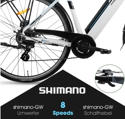 JOYKIE HILAND 28 inch 36V 250W electric city bike with disc brake