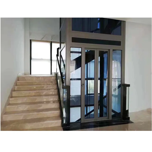 Guangdong JFUJI Elevator Factory Stable Quality Passenger Lift 6-8 person 2 Floor Elevator fuji