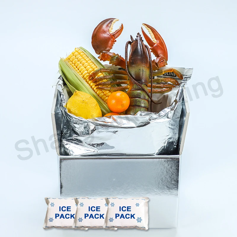Insulated Packaging for Food Delivery Isothermic Bags,Fast Food Bag,Aluminum Foil Bag Sliver Foam Box Liners