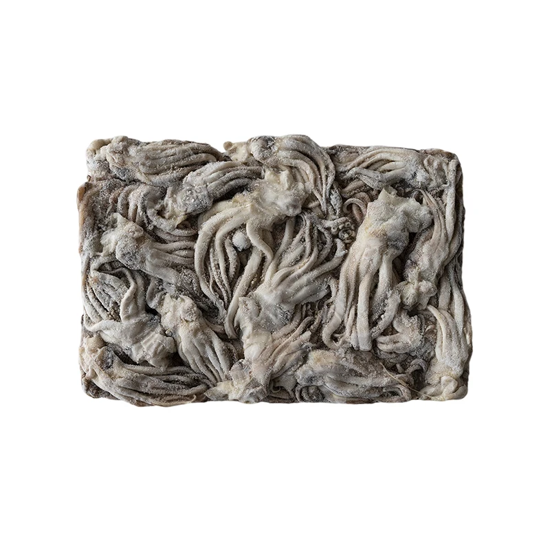 Wholesale high quality frozen squid tube and other fresh delicious seafood