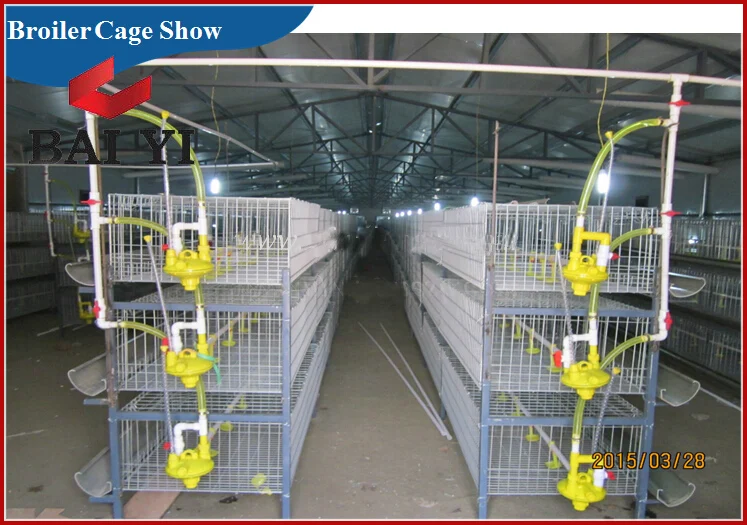 Chicken Farm Equipment Cage for Growing Broiler