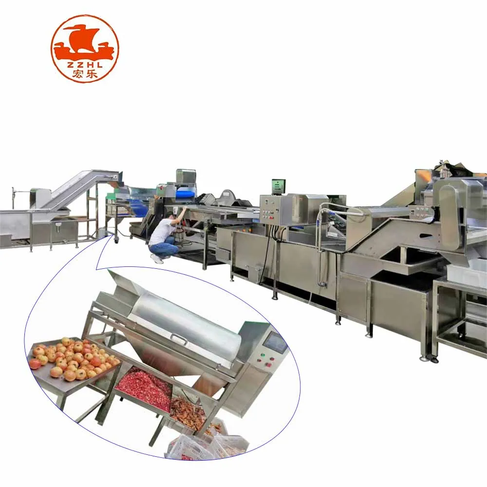 Full Automatic Industrial Pomegranate Passion Fruit Juice Making Machine Seed Separator Juicer Processing