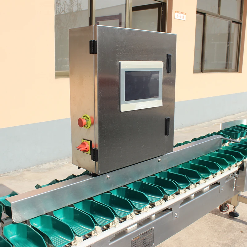 Fish Weight Grading Belt Type Seafood Sorting Machine