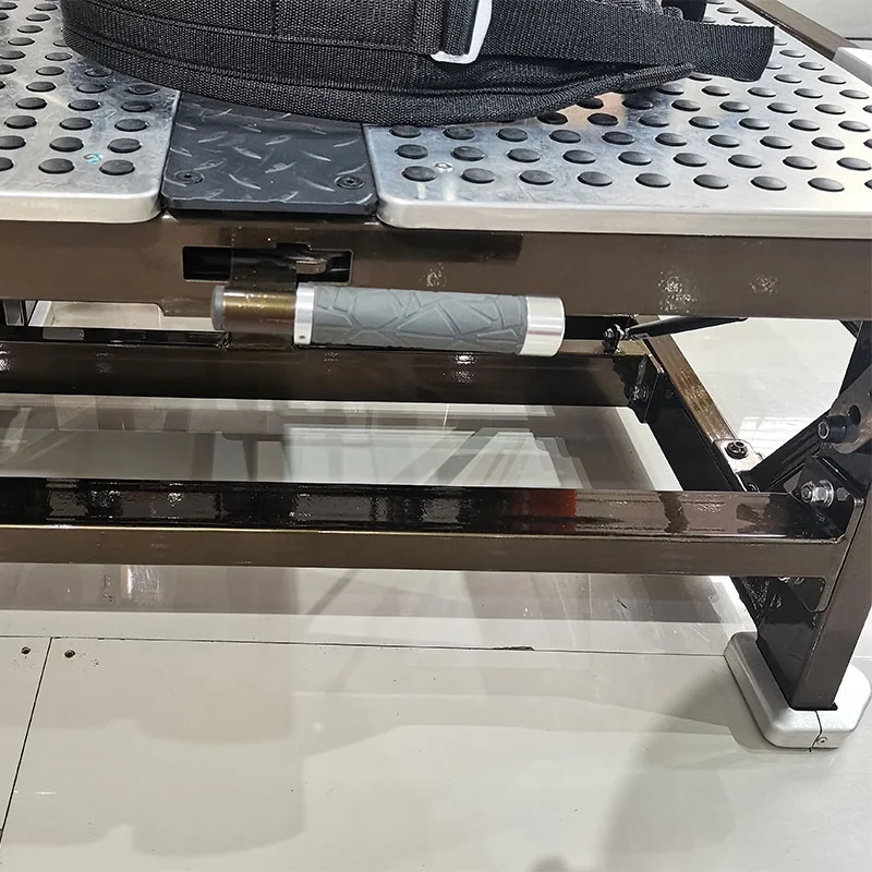 RHS Pro 106 Professional Gym Equipment Fitness Product lat pulldown machine plate loaded machines