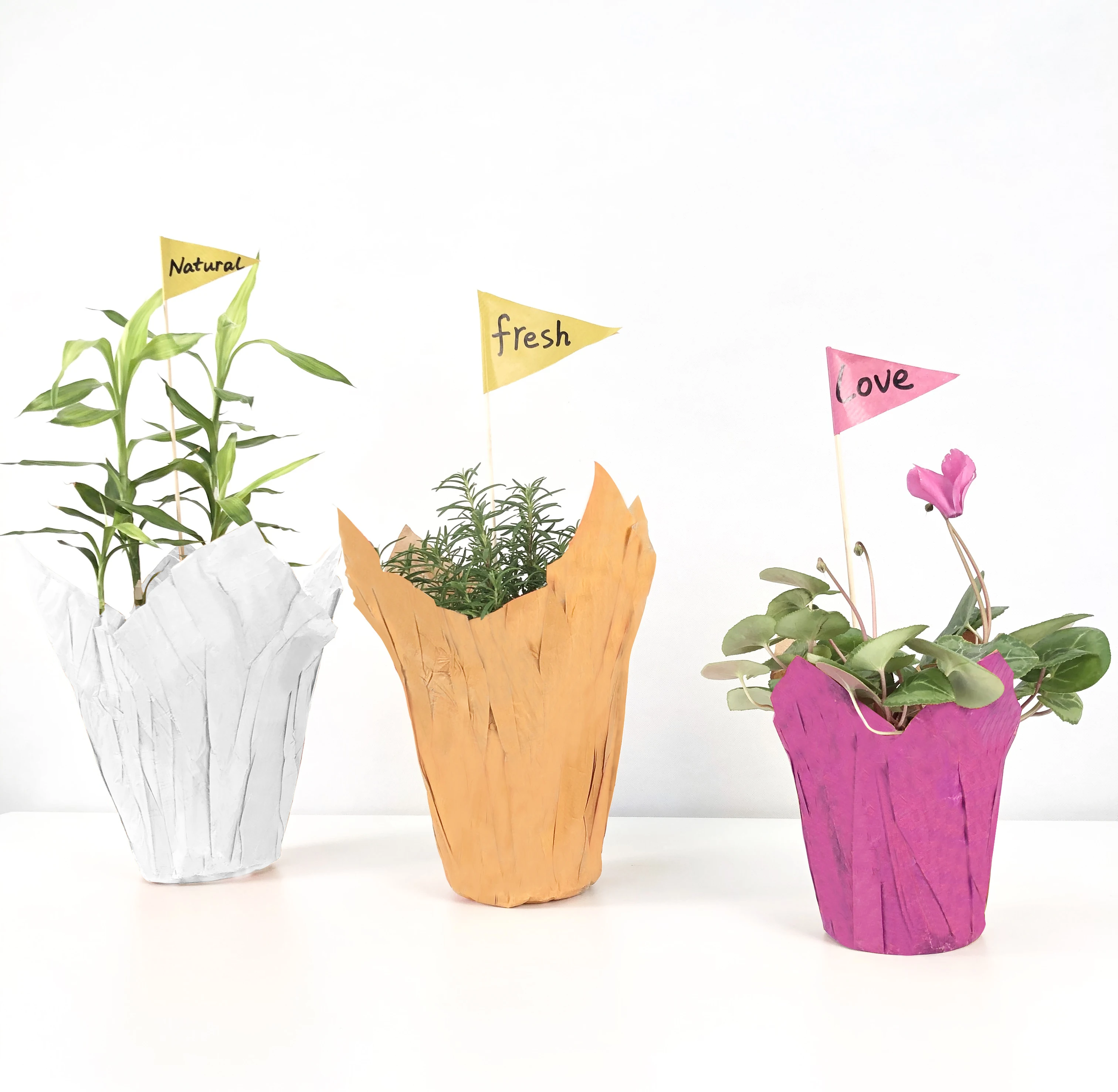 Home Decoration Potted Cover Holder Two Side Print  Kraft Paper Waterproof  Plant Pot Cover