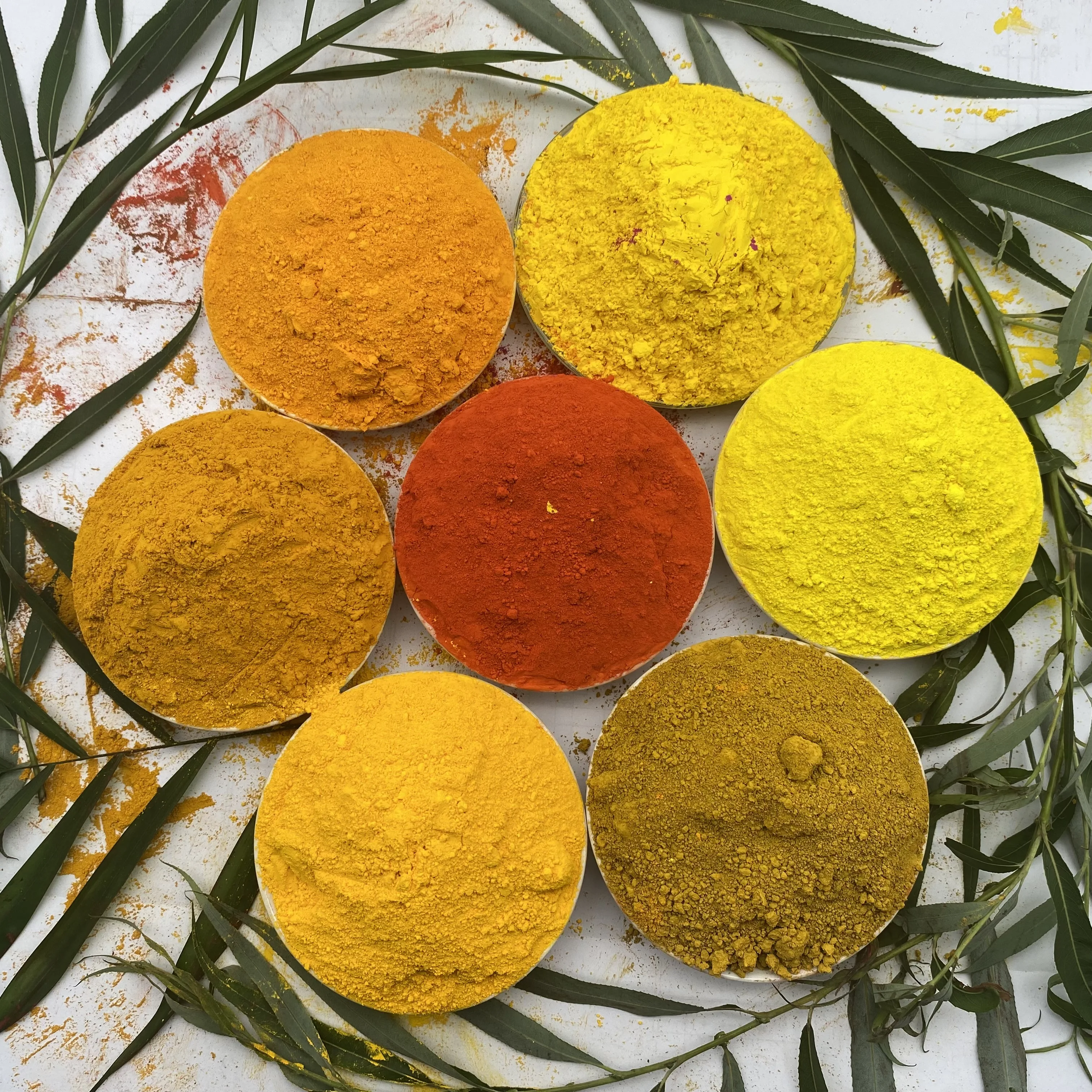 Citric yellow pigment manufacturers supply citric yellow color fresh and easy to color feed with citric yellow pigment