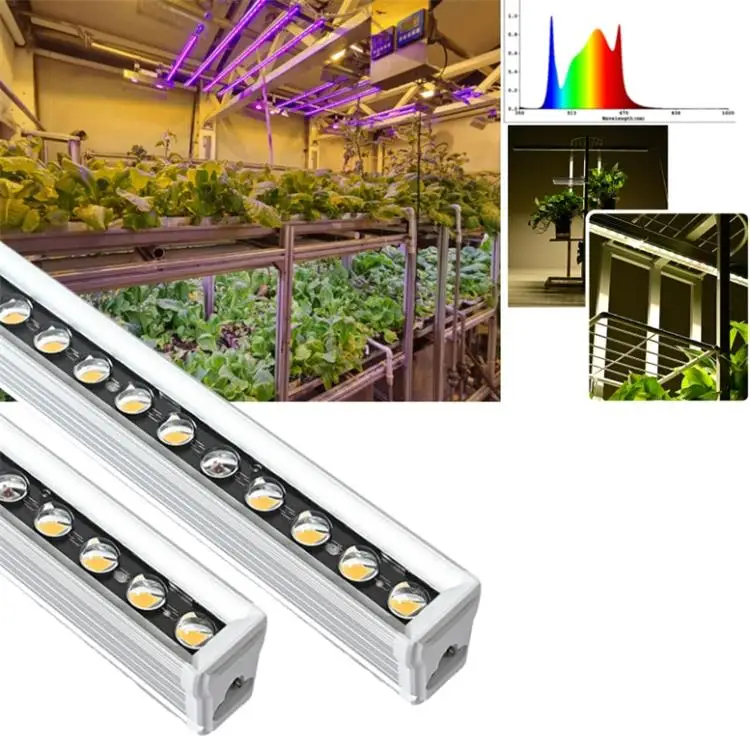 Full Spectrum LED Grow Light Sunlight High Lumen 170Lm/W Indoor Plants Grow Light LED