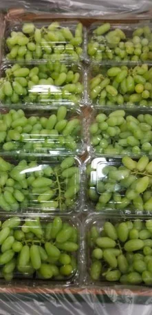 HIGH QUALITY Fresh Grapes  - TURKEY (Antalya) 2022