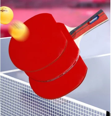pingpong4.png