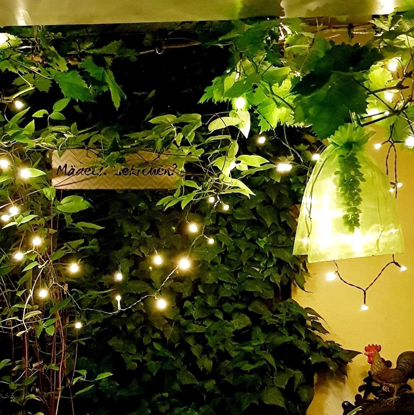 Fruit Protection Bags Netting Bags with Drawstring for Fruit Vegetable Cover Mesh Bag